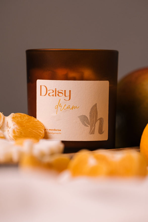 herzton Daisy Dream Duftkerze im Bernsteinglas mit Mango und Mandarine, Etikett auf grauem Hintergrund