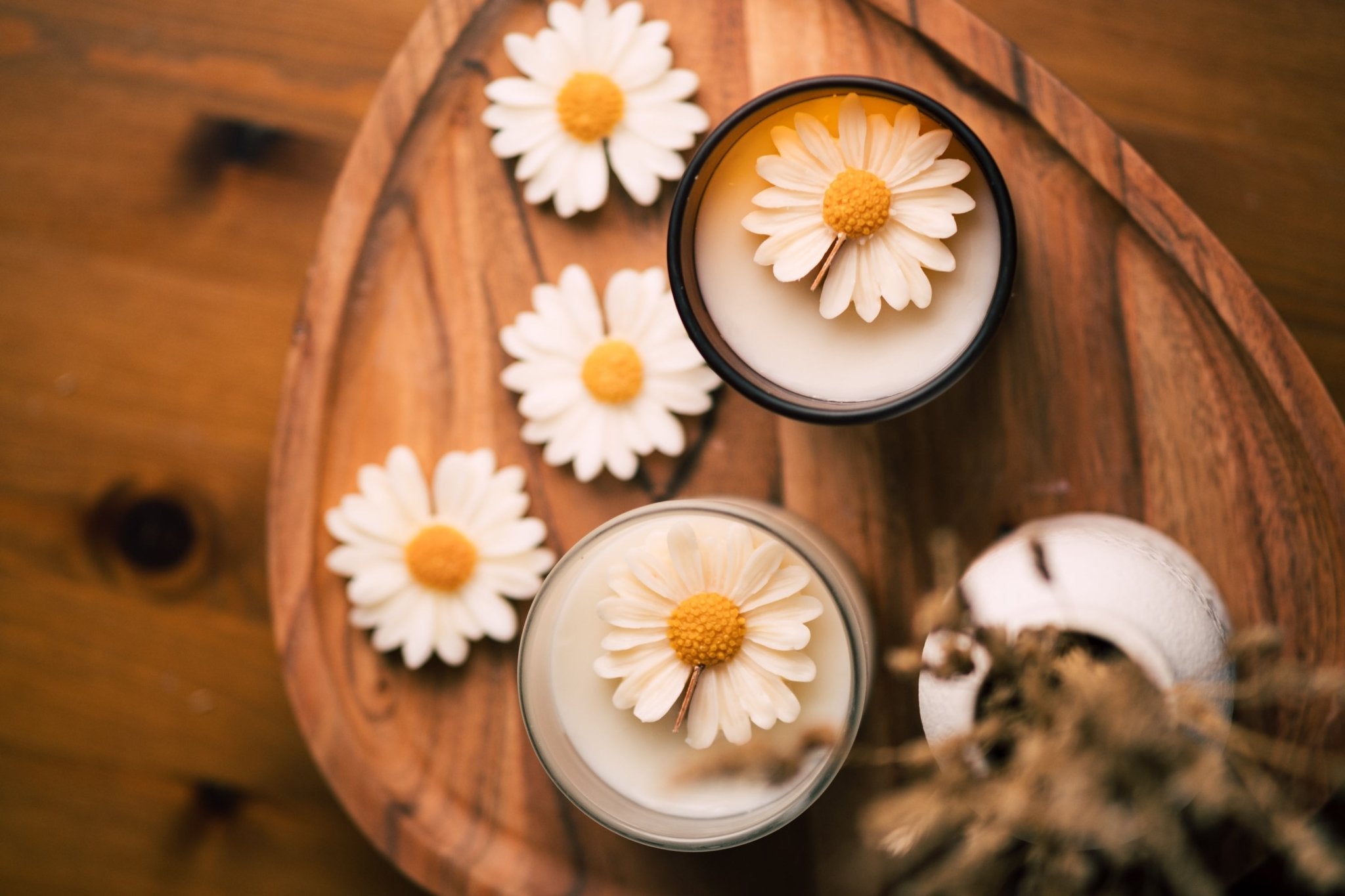 Daisy Dream - Herzton