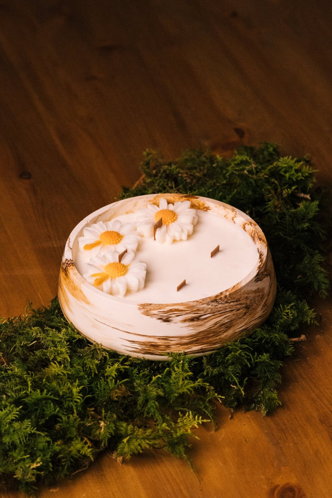 herzton Herzfeuer Daisy Dream: runde Schalenkerze mit drei weißen Wachs-Gänseblümchen, Holzoptik, auf grünem Moos