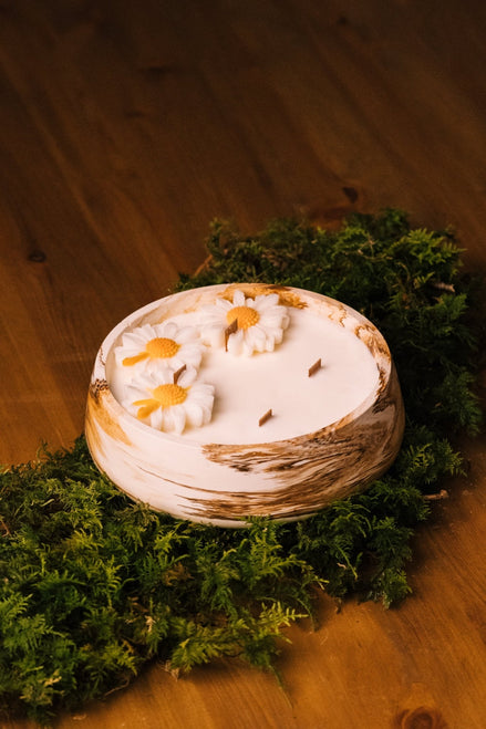 herzton Herzfeuer Daisy Dream: runde Schalenkerze mit drei weißen Wachs-Gänseblümchen, Holzoptik, auf grünem Moos