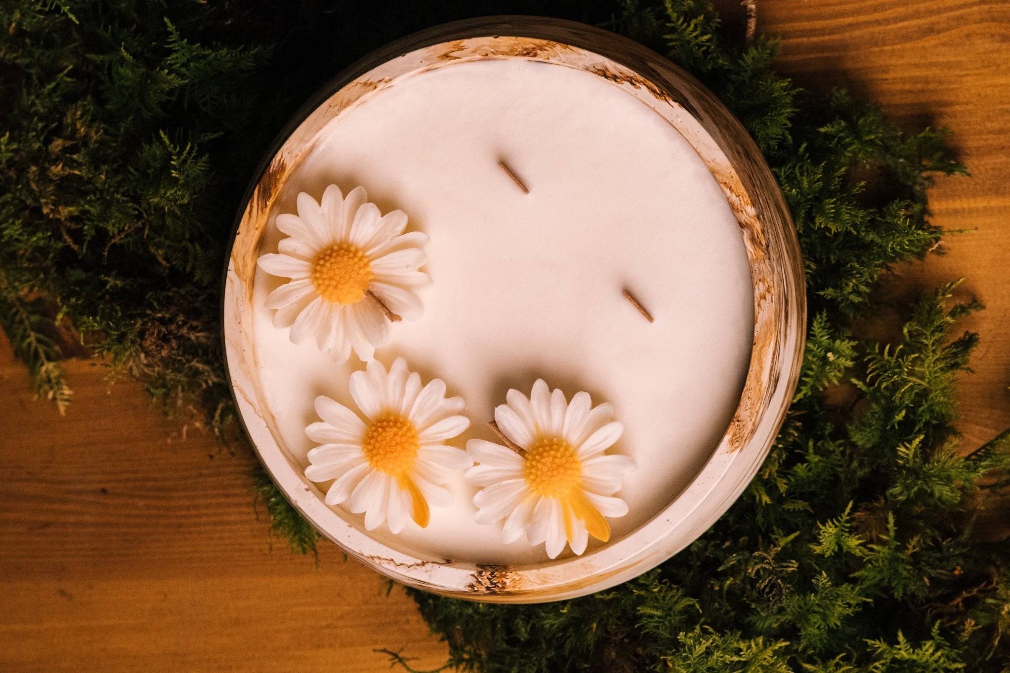 herzton Herzfeuer Daisy Dream seitlich auf Holztisch