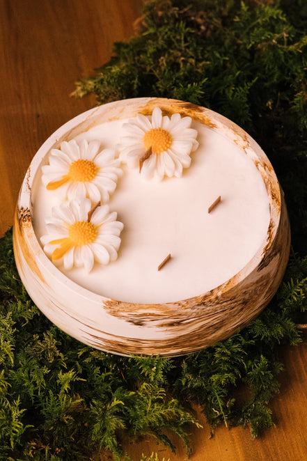 herzton Herzfeuer Daisy Dream Nahaufnahme Wachsblüten mit gelbem Zentrum