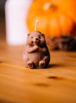 Igel Kerze sitzend