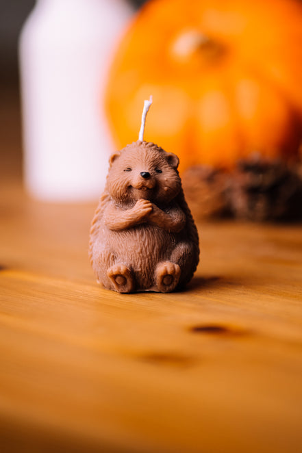 Igel Kerze sitzend