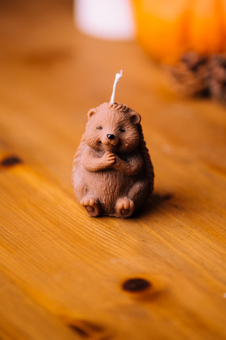 Igel Kerze sitzend