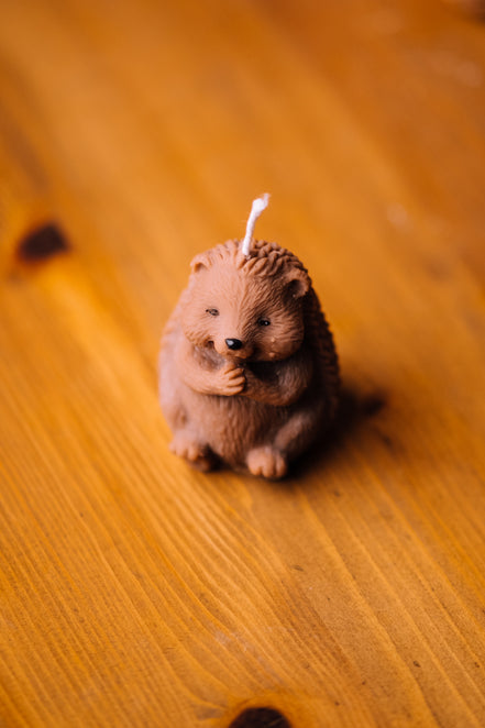 Igel Kerze sitzend