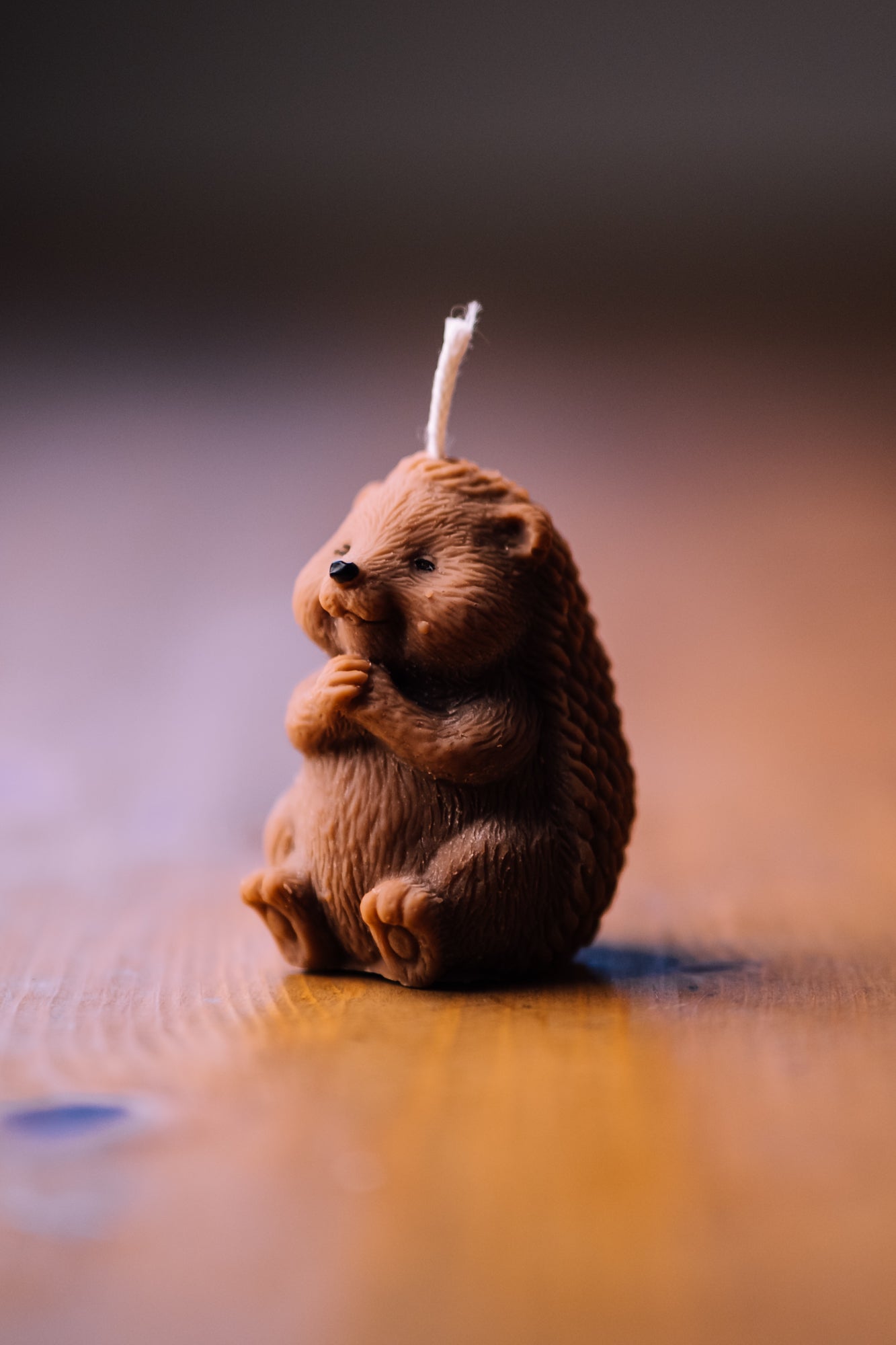 Igel Kerze sitzend