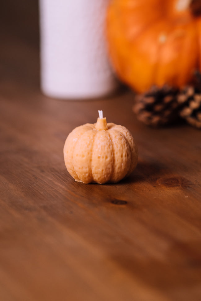 Mini Kürbis