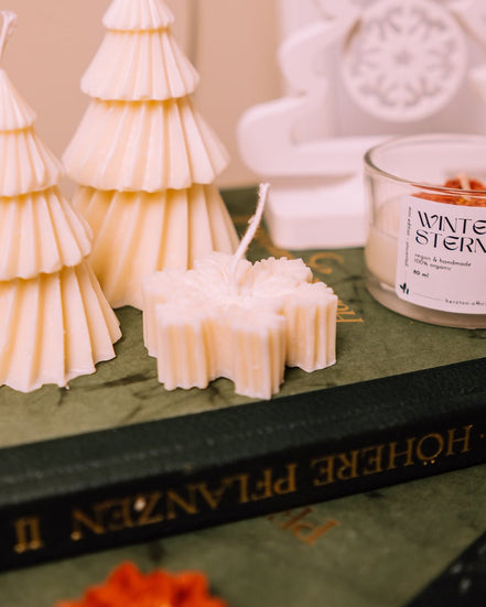 Little snow flake - Herzton