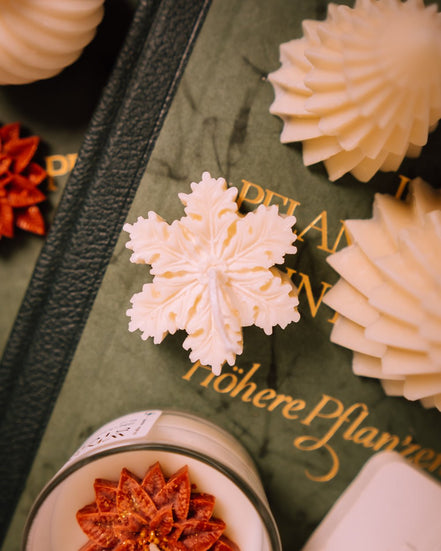 Little snow flake - Herzton