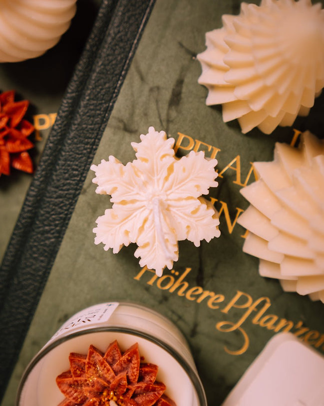 Little snow flake - Herzton