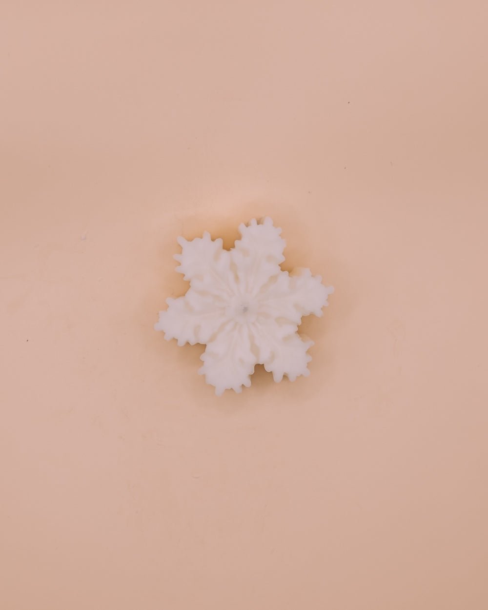 Little snow flake - Herzton