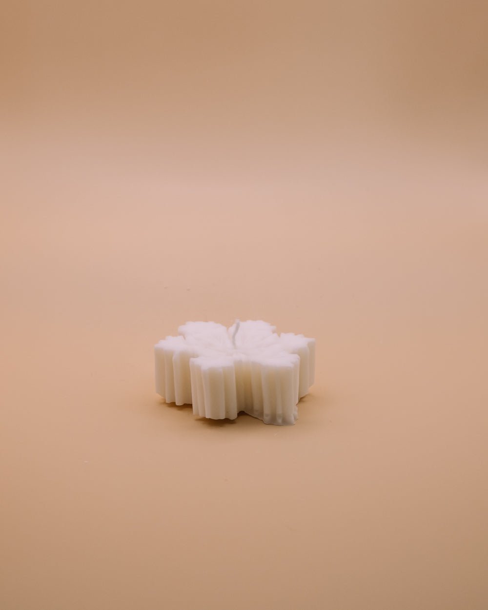 Little snow flake - Herzton