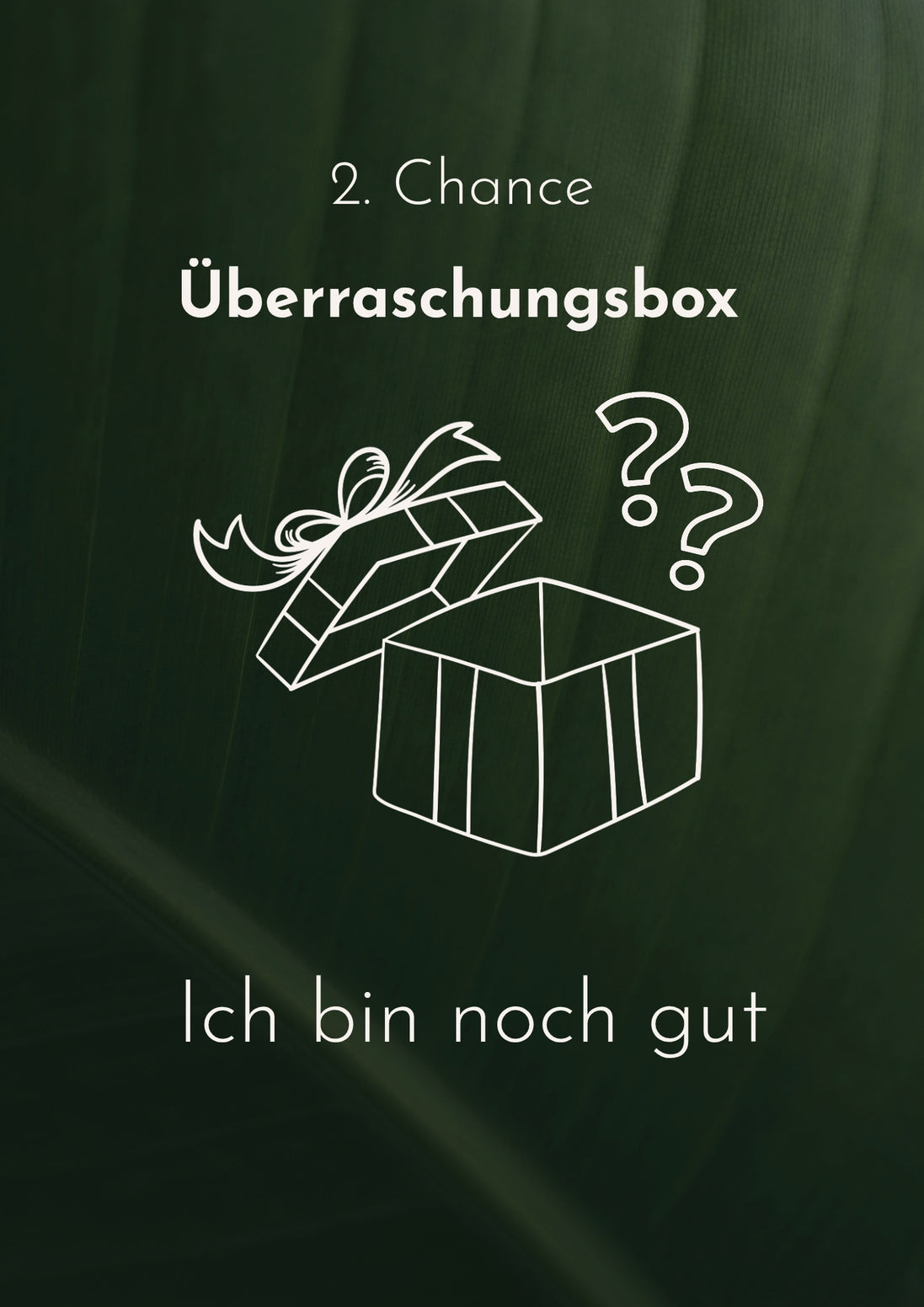 Überraschungsbox B-Ware