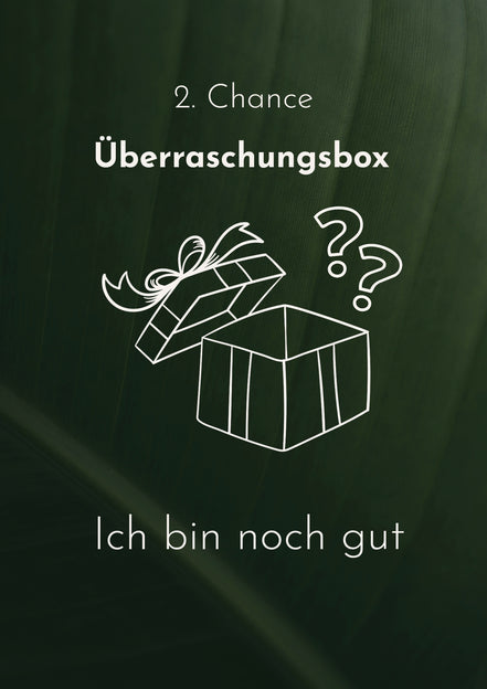 Überraschungsbox B-Ware