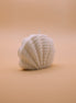 Sea pearl - Herzton