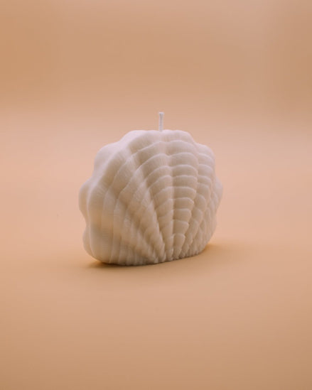 herzton Sea Pearl Sojawachskerze in cremefarbener Muschelform, Nahaufnahme