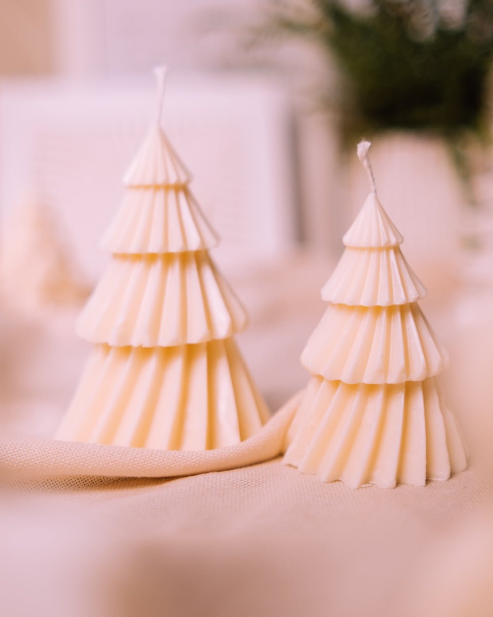 Tannen Duo - Herzton