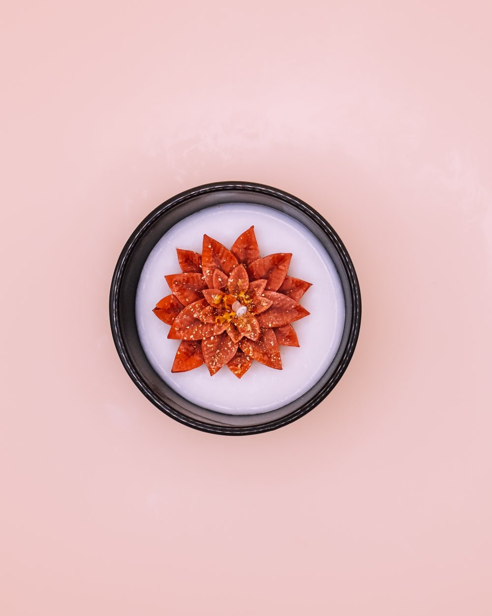 Winterstern - Herzton