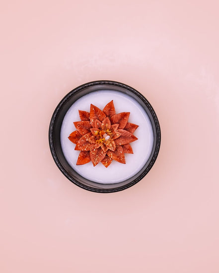 Winterstern - Herzton