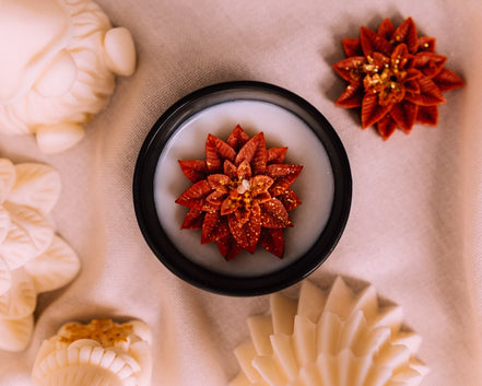 Winterstern - Herzton