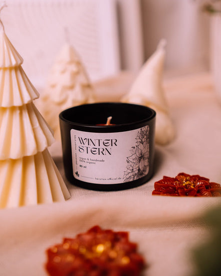 Winterstern - Herzton