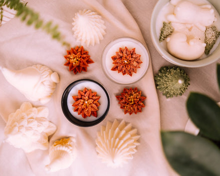 Winterstern - Herzton